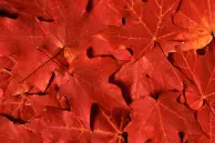 sony xperia z2 wallpaper heat