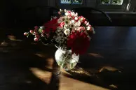 HTC One M9 camera samples 7 16509729050 1fc2b013f6 z