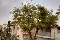 IMG 20150407 093834966 HDR