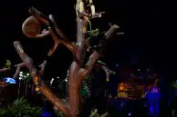 Google Nexus 6P review 11 Nexus 6P camera sample