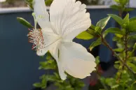 20160406 165020