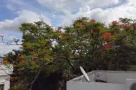 IMG 20160629 085256