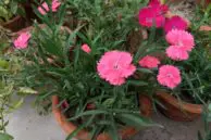 IMG 20170319 161953399