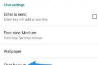 WhatsApp Chat Backup2