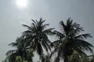 OnePlus 5 Camera Samples 7 OP5 Camera Sample4