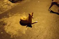 OnePlus 5 Camera Samples 11 OP5 camera sample 8