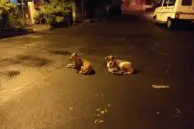 OnePlus 5 Camera Samples 9 OP5 camera sample 9