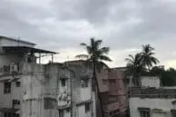 OnePlus 5 vs iPhone 7 Plus Portrait Mode and Optical Zoom Camera Comparison 13 iPhone zoom1