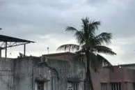 OnePlus 5 vs iPhone 7 Plus Portrait Mode and Optical Zoom Camera Comparison 14 iPhone zoom2