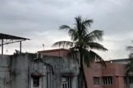 OnePlus 5 vs iPhone 7 Plus Portrait Mode and Optical Zoom Camera Comparison 12 op5 zoom2