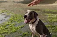 Check Out These Google Pixel 2 Camera Samples 3 IMG 20170803 175036