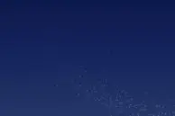 GoogleWiz1