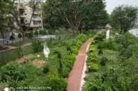 rn5 garden