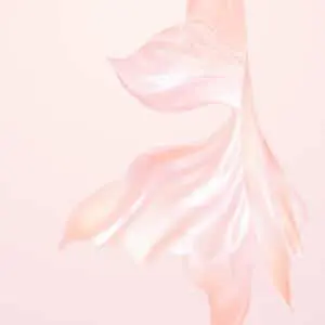 PearlWhite
