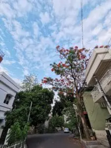 Huawei P30 Pro Review: Impressive, Inconsistent Flagship! 29 IMG 20190502 173036