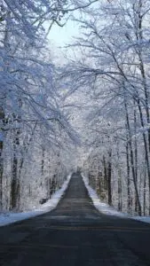 winter road way 5k 0y 1440x2560