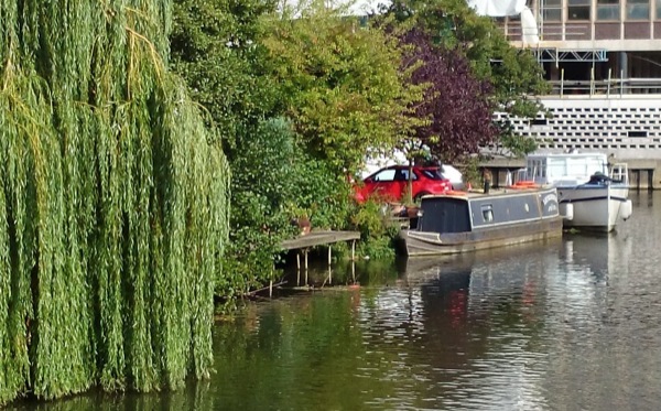 Photo sample from the Z1, cropped