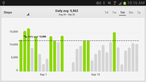 fitbit122013