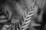 htc one wallpaper 04