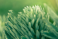 htc one wallpaper 09