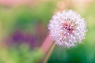 htc one wallpaper 13