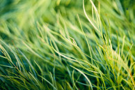 htc one wallpaper 15