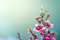 htc one wallpaper 16