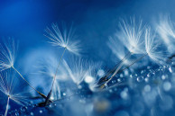 htc one wallpaper 17