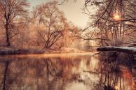 sony xperia z2 wallpaper autumnal