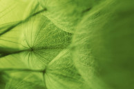sony xperia z2 wallpaper earth
