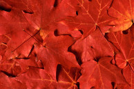 sony xperia z2 wallpaper heat
