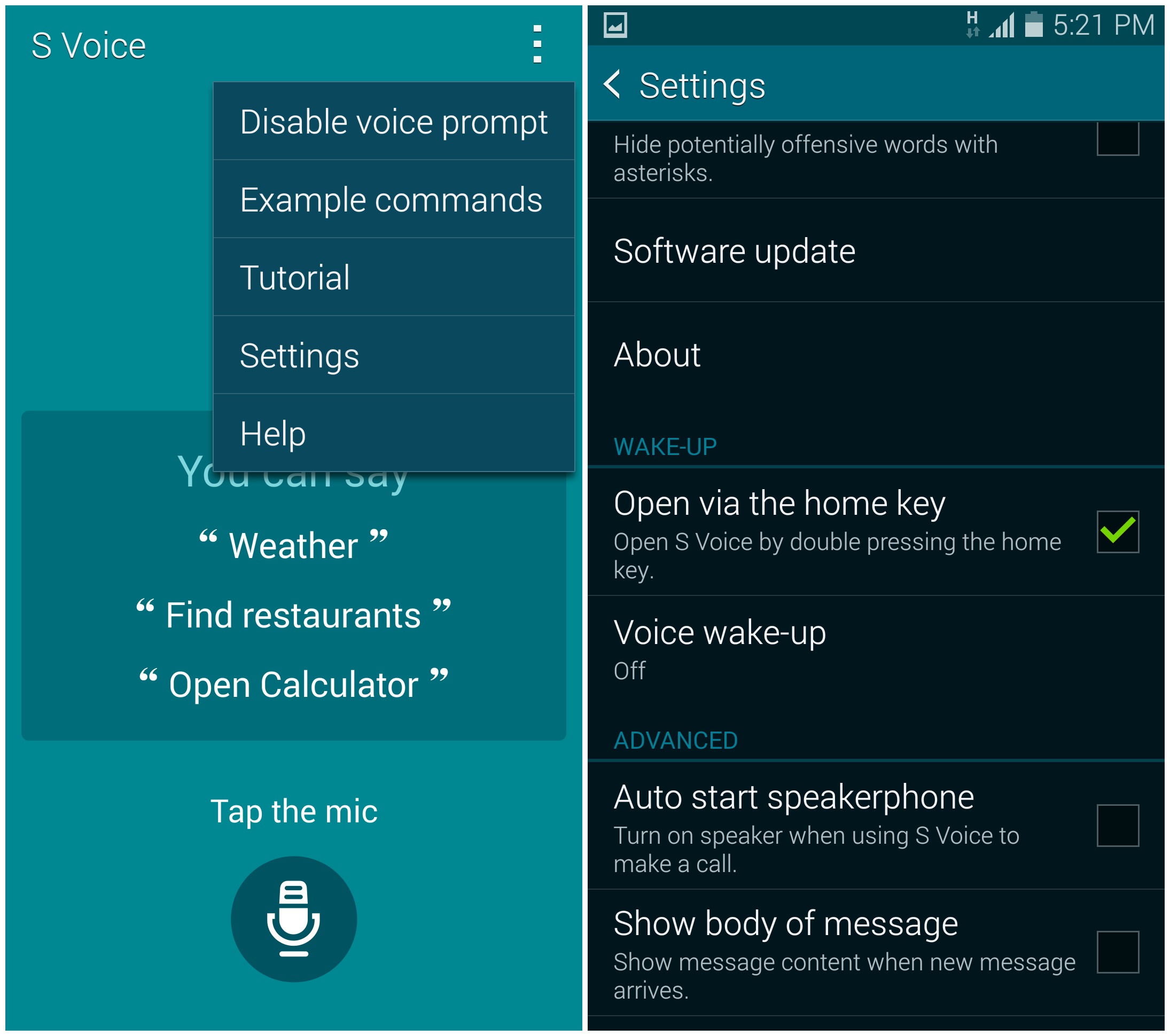 svoice