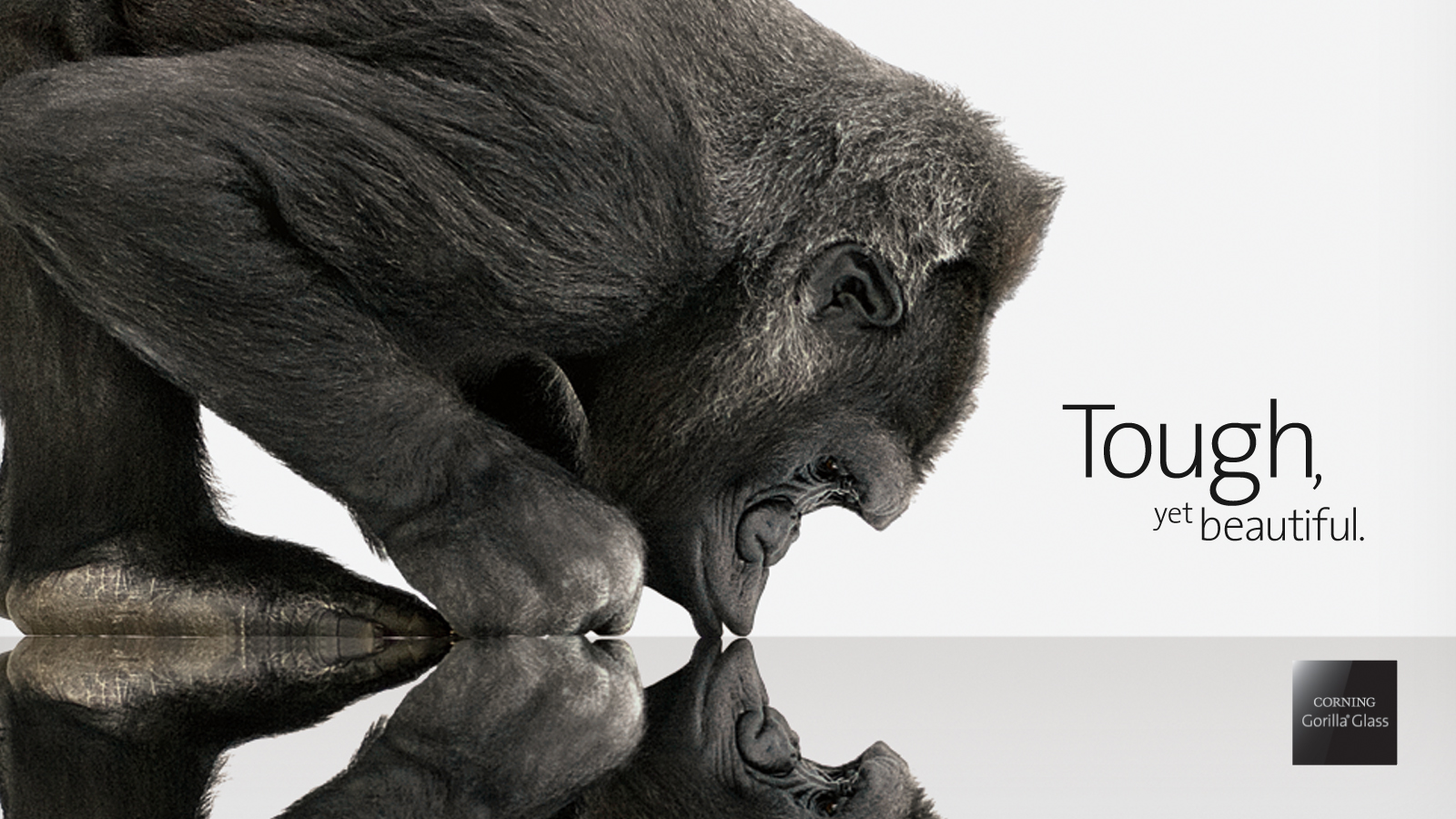 Corning Gorilla Glass