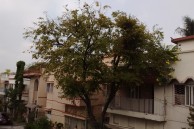 IMG 20150407 093821101