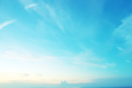 wallpaper2