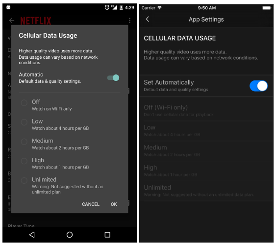 Netflix Cellular controls