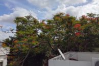 IMG 20160629 085256