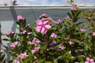 IMG 20160629 085439