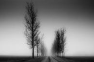 Road