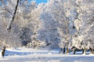 Winter