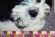 Screenshot 20160813 015549
