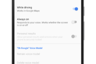 Google Maps Voice Detection