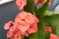 IMG 20170319 161731449