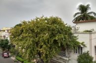 IMG 20170319 161914282 HDR