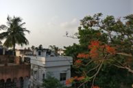 OnePlus 3T HDR