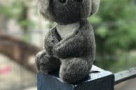 iPhone 7 Koala Portrait
