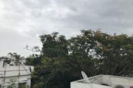 iphone zoom5