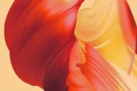 OnePlus 5 Wallpaper
