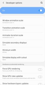 Galaxy S10 Display Density