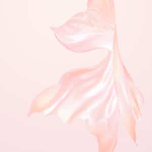 PearlWhite